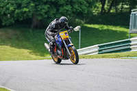 cadwell-no-limits-trackday;cadwell-park;cadwell-park-photographs;cadwell-trackday-photographs;enduro-digital-images;event-digital-images;eventdigitalimages;no-limits-trackdays;peter-wileman-photography;racing-digital-images;trackday-digital-images;trackday-photos